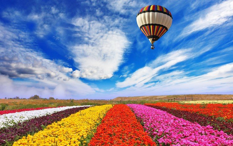 небо, цветы, облака, природа, поле, воздушный шар, the sky, flowers, clouds, nature, field, balloon