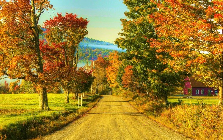 дорога, деревья, природа, пейзаж, осень, дом, природа., road, trees, nature, landscape, autumn, house, nature.