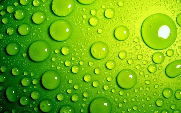 зелёный, фон, капли, цвет, капли воды, green, background, drops, color, water drops