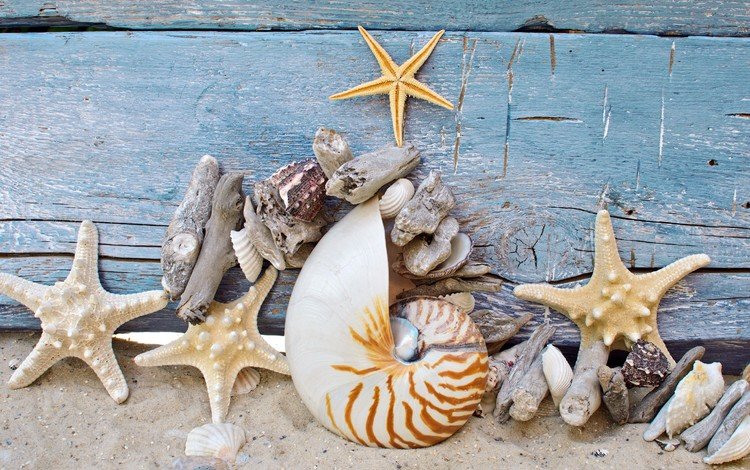 звезды, песок, ракушки, камушки, морские звезды, деревянная поверхность, stars, sand, shell, stones, starfish, wooden surface
