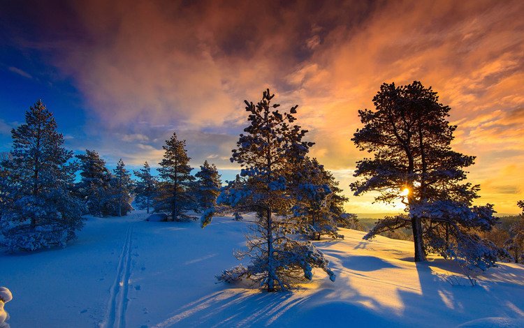 небо, норвегия, облака, деревья, солнце, природа, лес, закат, зима, the sky, norway, clouds, trees, the sun, nature, forest, sunset, winter