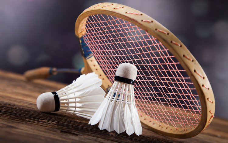 ракетка, крупным планом, бадминтон, волан, racket, closeup, badminton, flounce