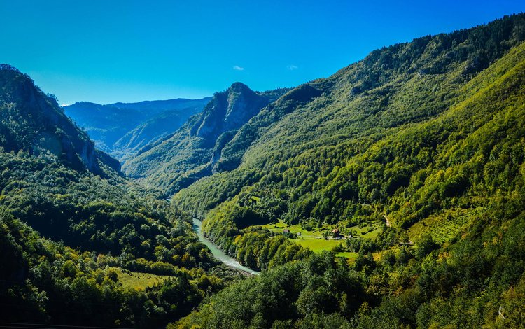 горы, река тара, природа, лес, пейзаж, долина, горная река, черногория, горы.лес, mountains, nature, forest, landscape, valley, mountain river, montenegro, mountains.forest