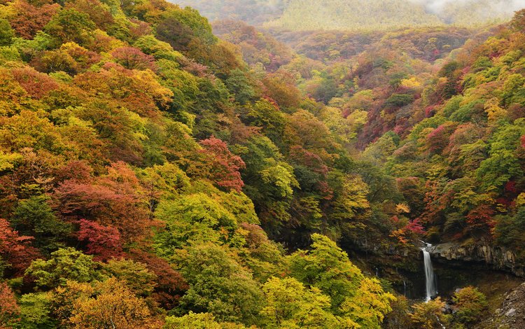 природа, лес, водопад, осень, япония, ирохадзака, nature, forest, waterfall, autumn, japan, irohazaka