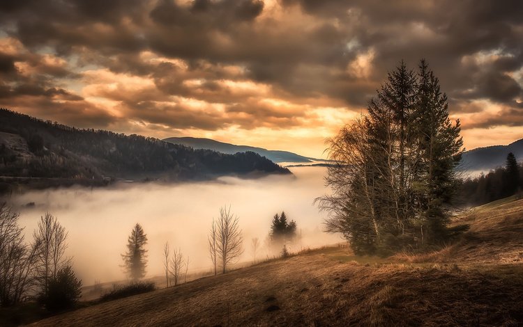 облака, горы, природа, дерево, закат, туман, осень, clouds, mountains, nature, tree, sunset, fog, autumn