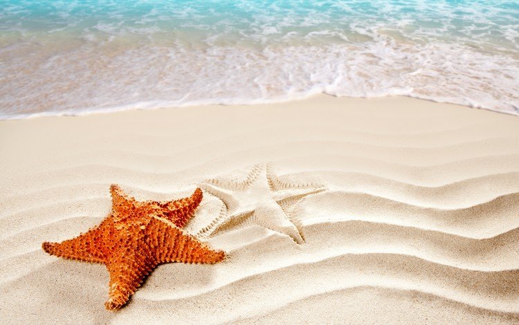 волны, море, песок, пляж, морская звезда, wave, sea, sand, beach, starfish