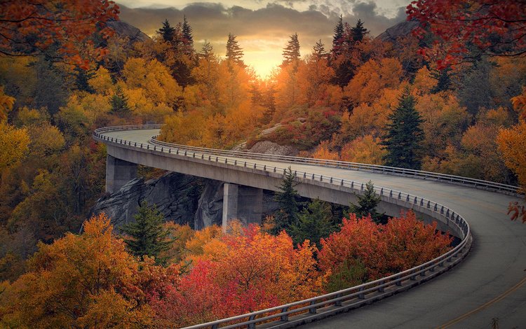 дорога, природа, пейзаж, кусты, осень, road, nature, landscape, the bushes, autumn