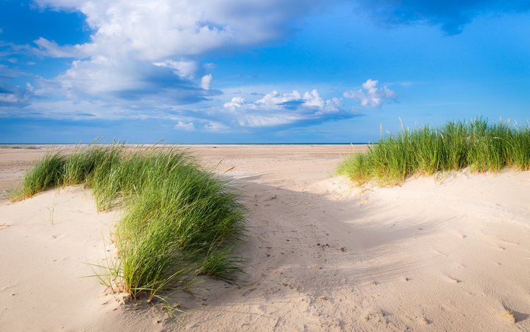 небо, трава, облака, пейзаж, песок, дюны, the sky, grass, clouds, landscape, sand, dunes