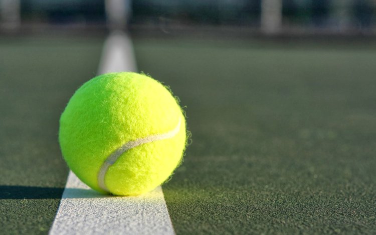 спорт, мяч, теннис, sport, the ball, tennis