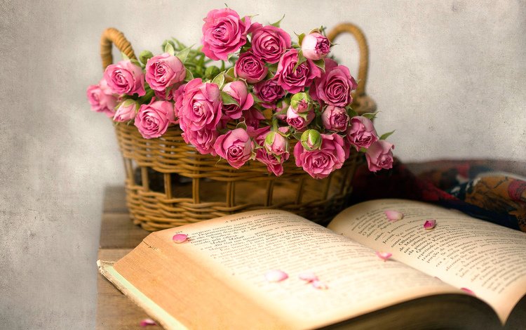 цветы, розы, корзина, книга, flowers, roses, basket, book