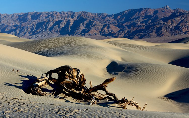 горы, пейзаж, песок, пустыня, коряга, дюны, mountains, landscape, sand, desert, snag, dunes