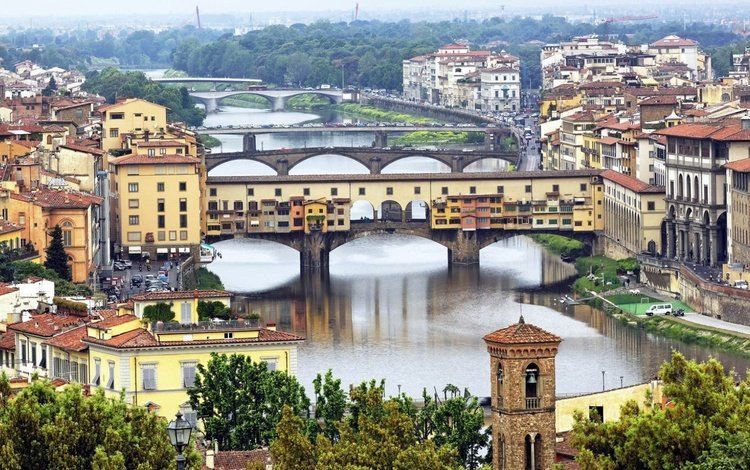 деревья, река, город, италия, флоренция, мосты, trees, river, the city, italy, florence, bridges