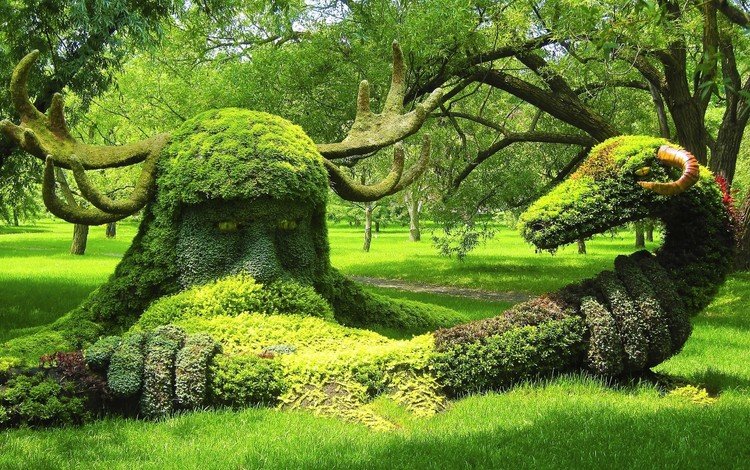 природа, дерево, парк, креатив, растение, скульптуры, газон, ботанический сад, nature, tree, park, creative, plant, sculpture, lawn, botanical garden