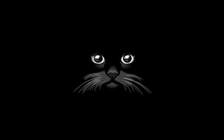 вектор, кот, черный, графика, черный фон, vector, cat, black, graphics, black background
