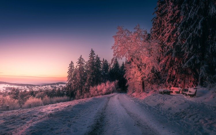 дорога, деревья, вечер, природа, закат, зима, road, trees, the evening, nature, sunset, winter