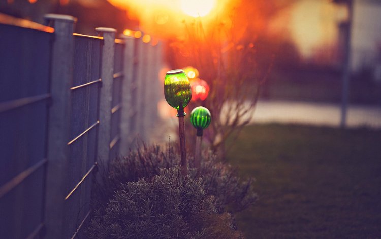 макро, кусты, забор, боке, светильники, macro, the bushes, the fence, bokeh, lamps
