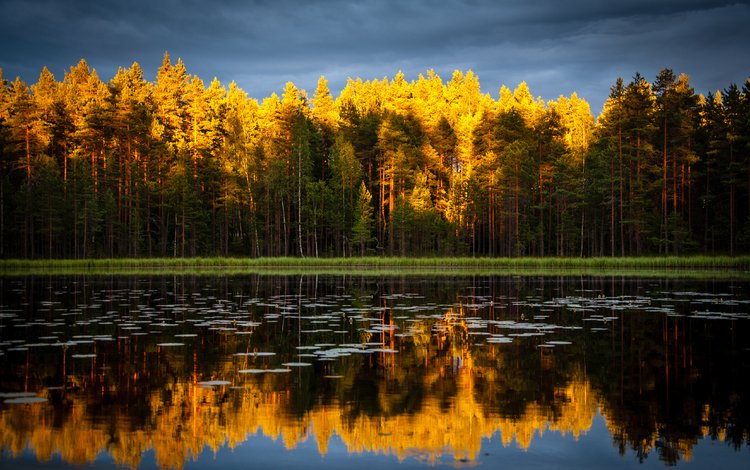 небо, деревья, озеро, природа, лес, отражение, осень, the sky, trees, lake, nature, forest, reflection, autumn