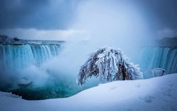 снег, природа, дерево, зима, водопад, ниагарский водопад, snow, nature, tree, winter, waterfall, niagara falls