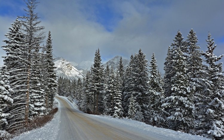 дорога, горы, зима, пейзаж, национальный парк банф, road, mountains, winter, landscape, banff national park