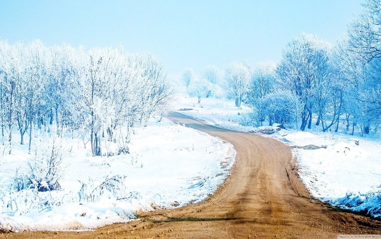 дорога, деревья, снег, лес, зима, путь, road, trees, snow, forest, winter, the way