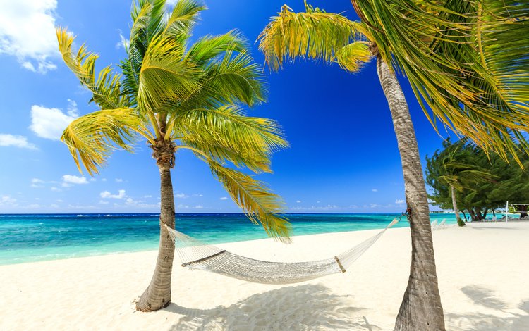 берег, море, песок, пляж, пальмы, гамак, тропики, карибы, shore, sea, sand, beach, palm trees, hammock, tropics, caribbean