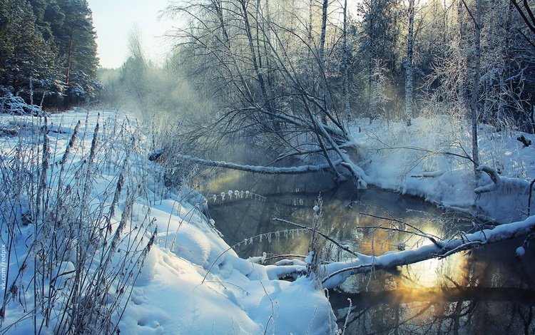 река, снег, дерево, зима, пейзаж, утро, иней, берега, river, snow, tree, winter, landscape, morning, frost, bank