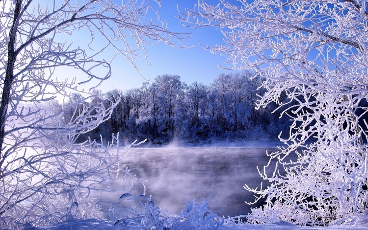 деревья, река, зима, ветки, мороз, иней, trees, river, winter, branches, frost