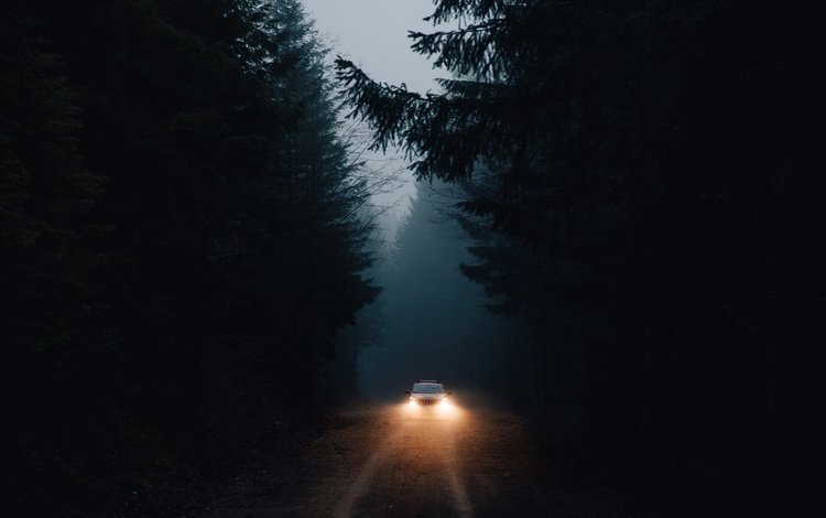 свет, дорога, лес, машина, темнота, фары, light, road, forest, machine, darkness, lights