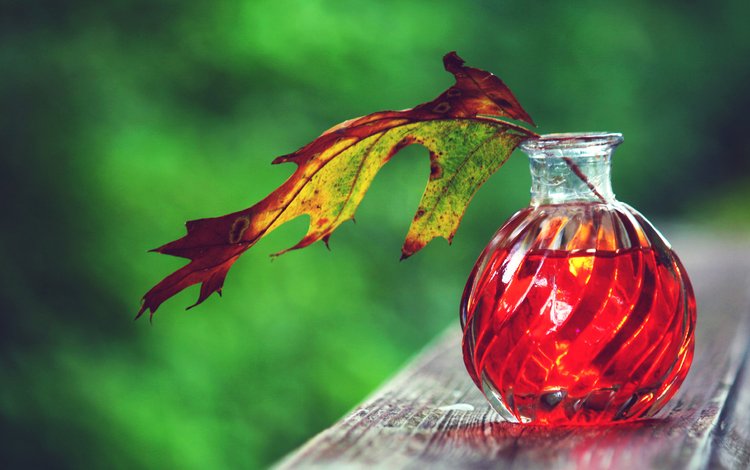 осень, лист, бутылочка, флакон, деревянная поверхность, эликсир, autumn, sheet, bottle, wooden surface, elixir