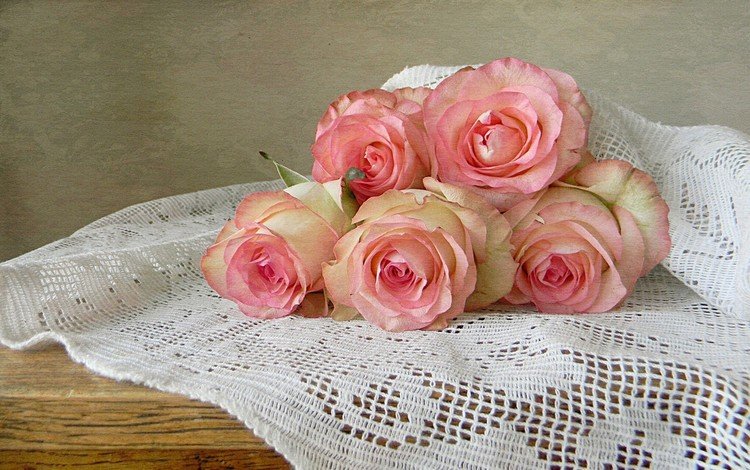 цветы, розы, букет, розовые, скатерть, flowers, roses, bouquet, pink, tablecloth