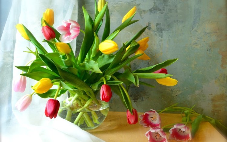 цветы, бутоны, лепестки, букет, тюльпаны, ваза, тюль, flowers, buds, petals, bouquet, tulips, vase, tulle