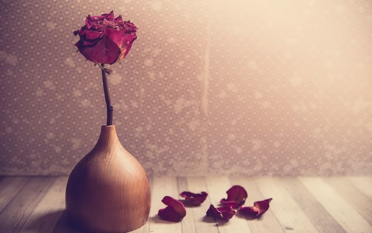 обои, цветок, роза, лепестки, ваза, wallpaper, flower, rose, petals, vase