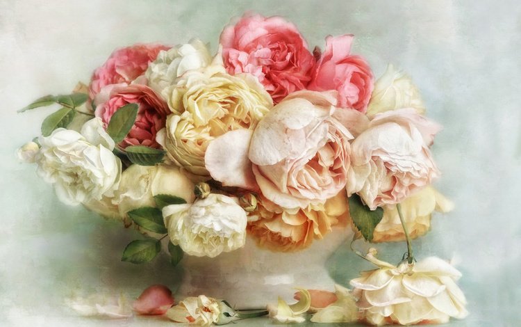 цветы, бутоны, розы, лепестки, букет, ваза, flowers, buds, roses, petals, bouquet, vase