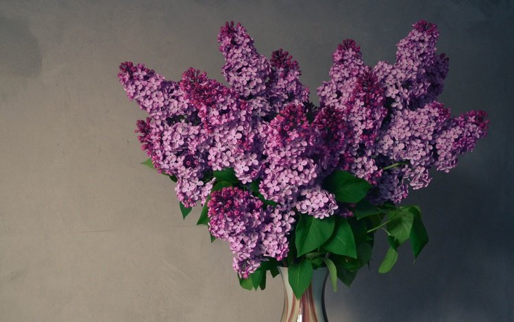 цветы, весна, букет, ваза, сирень, композиция, flowers, spring, bouquet, vase, lilac, composition