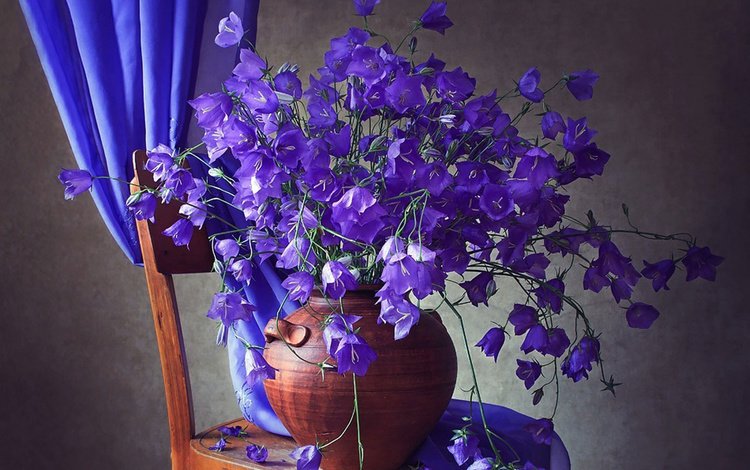 цветы, стул, ткань, букет, ваза, синие, колокольчики, занавеска, flowers, chair, fabric, bouquet, vase, blue, bells, curtain