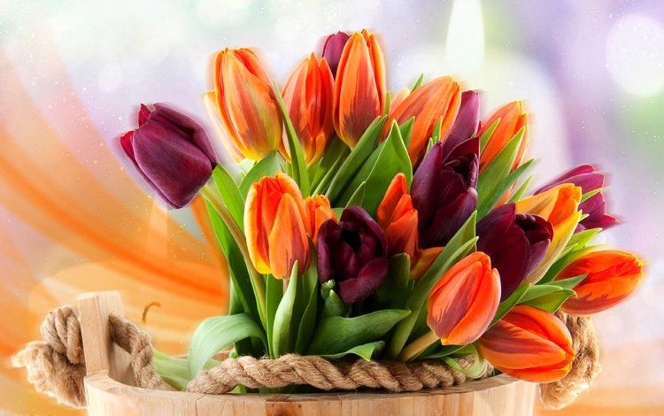 цветы, бутоны, весна, букет, тюльпаны, боке, ведро, flowers, buds, spring, bouquet, tulips, bokeh, bucket
