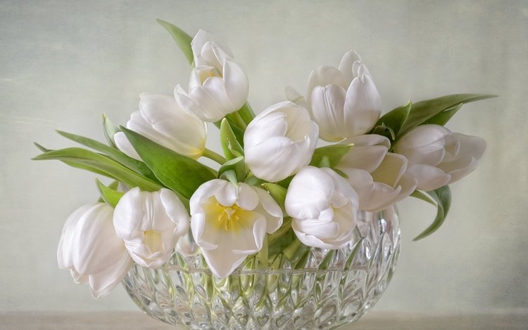 цветы, букет, тюльпаны, белые, ваза, хрусталь, flowers, bouquet, tulips, white, vase, crystal