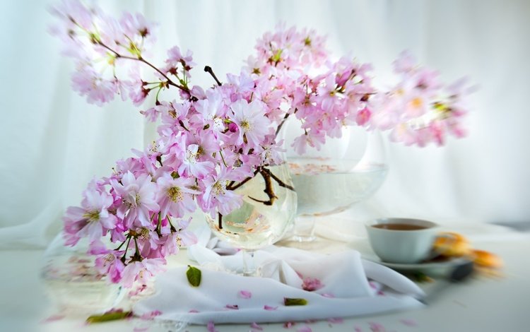 цветы, натюрморт, ветки, лепестки, сакура, чашка, ваза, чай, салфетка, flowers, still life, branches, petals, sakura, cup, vase, tea, napkin