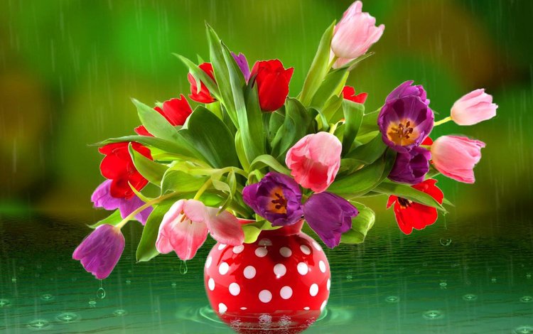 цветы, вода, дождь, тюльпаны, ваза, flowers, water, rain, tulips, vase