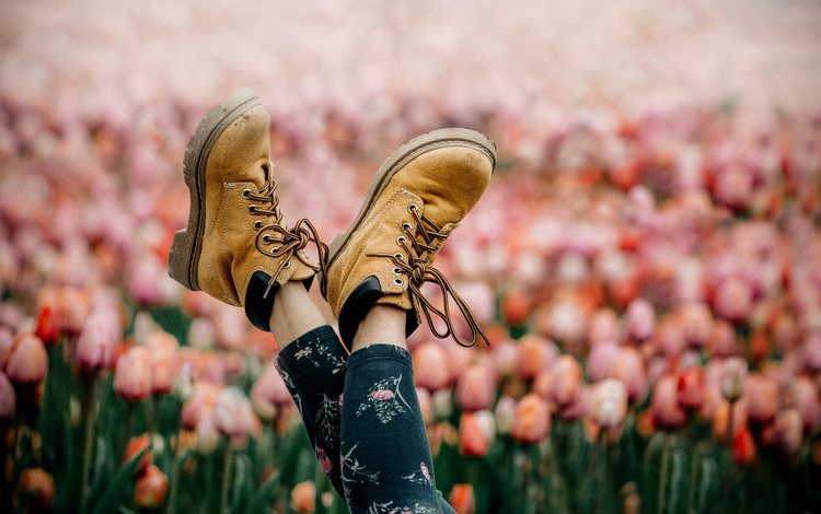 цветы, настроение, девочка, весна, ножки, тюльпаны, обувь, ботинки, шнурки, laces, flowers, mood, girl, spring, legs, tulips, shoes