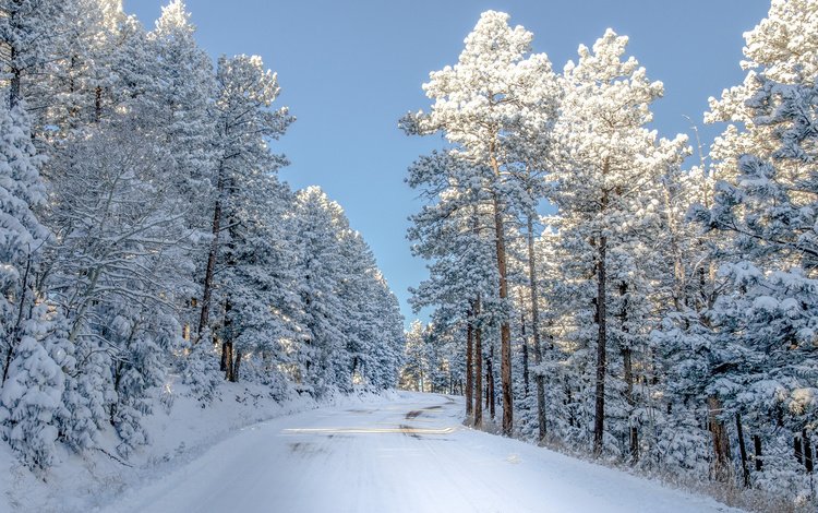 небо, дорога, снег, природа, зима, сша, колорадо,     деревья, the sky, road, snow, nature, winter, usa, colorado, trees