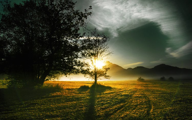 трава, рассвет, солнце, холмы, дерево, лучи, пейзаж, утро, туман, grass, dawn, the sun, hills, tree, rays, landscape, morning, fog