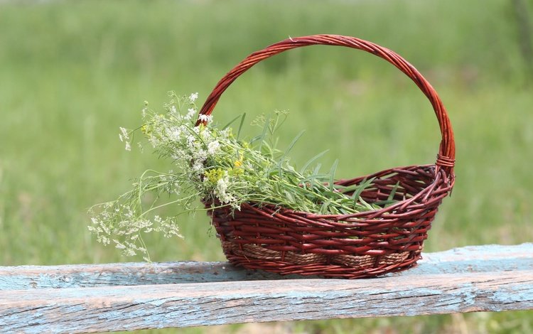 фон, корзина, полевые цветы, лавочка, тысячелистник, background, basket, wildflowers, shop, yarrow