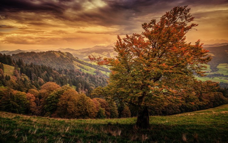 небо, горы, природа, осень, швейцария,     деревья, the sky, mountains, nature, autumn, switzerland, trees