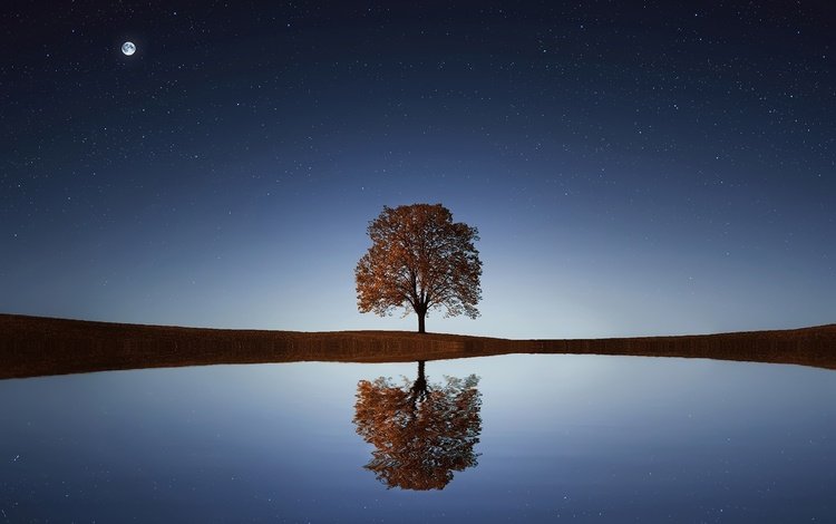 небо,     дерево, ночь, вода, озеро, дерево, отражение, звезды, горизонт, the sky, night, water, lake, tree, reflection, stars, horizon