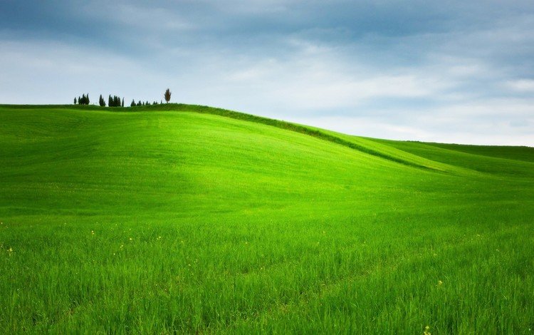 небо, холм, трава, деревья, природа, пейзаж, поле, горизонт, пастбище, the sky, hill, grass, trees, nature, landscape, field, horizon, pasture