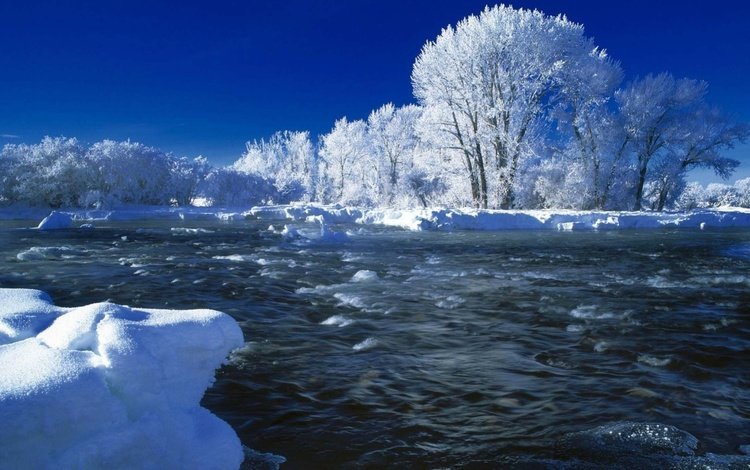небо, деревья, река, снег, природа, зима, иней, течение, the sky, trees, river, snow, nature, winter, frost, for