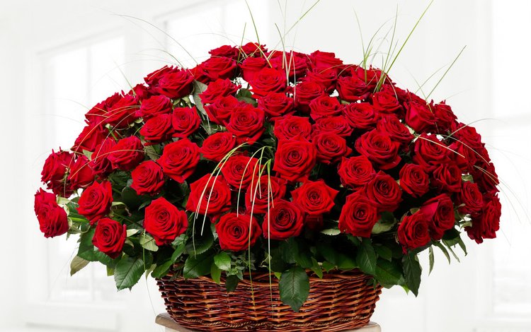 цветы, розы, красные, букет, корзинка, flowers, roses, red, bouquet, basket