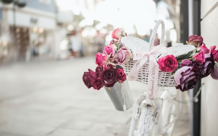 цветы, розы, улица, велосипед, корзинка, flowers, roses, street, bike, basket
