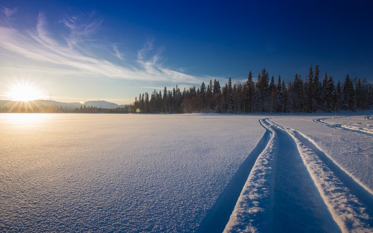 снег, природа, лес, зима, дорожка, финляндия, snow, nature, forest, winter, track, finland